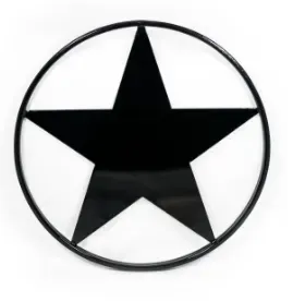 2d star